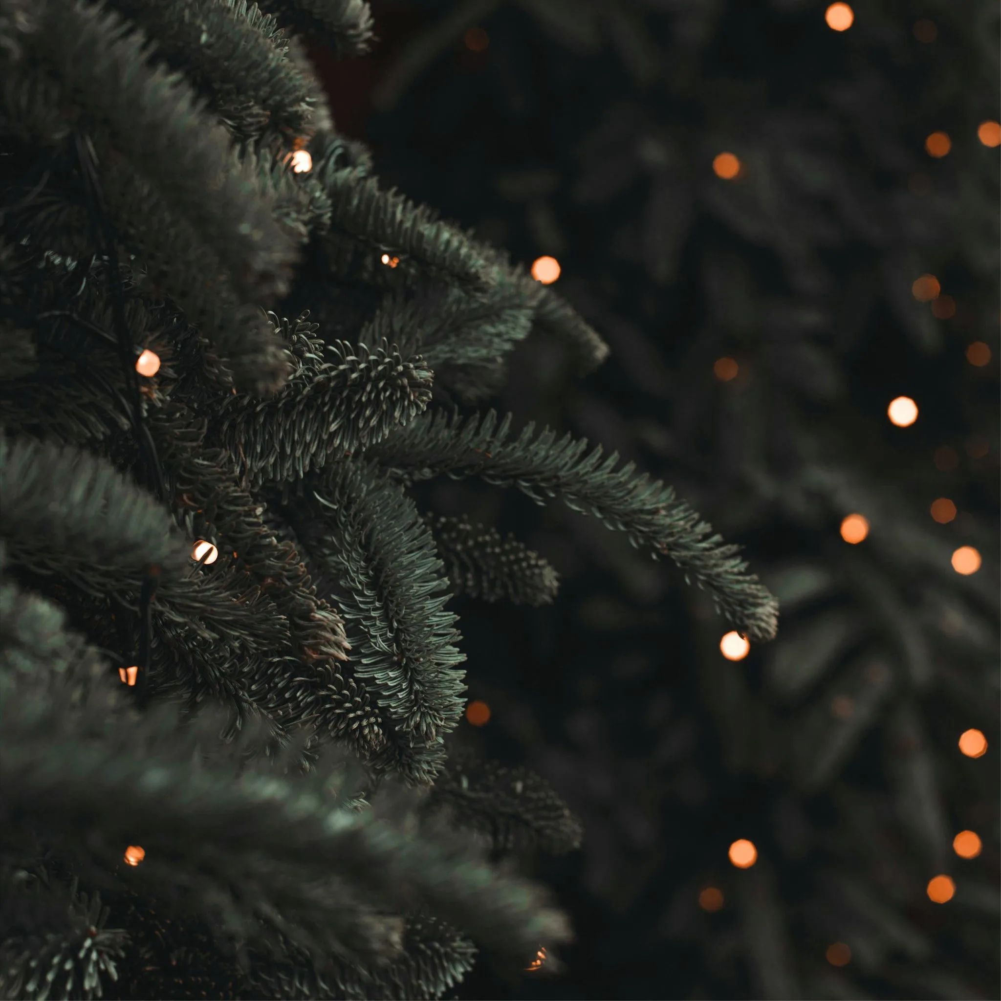 AR-65-conte-noel-C2.jpg